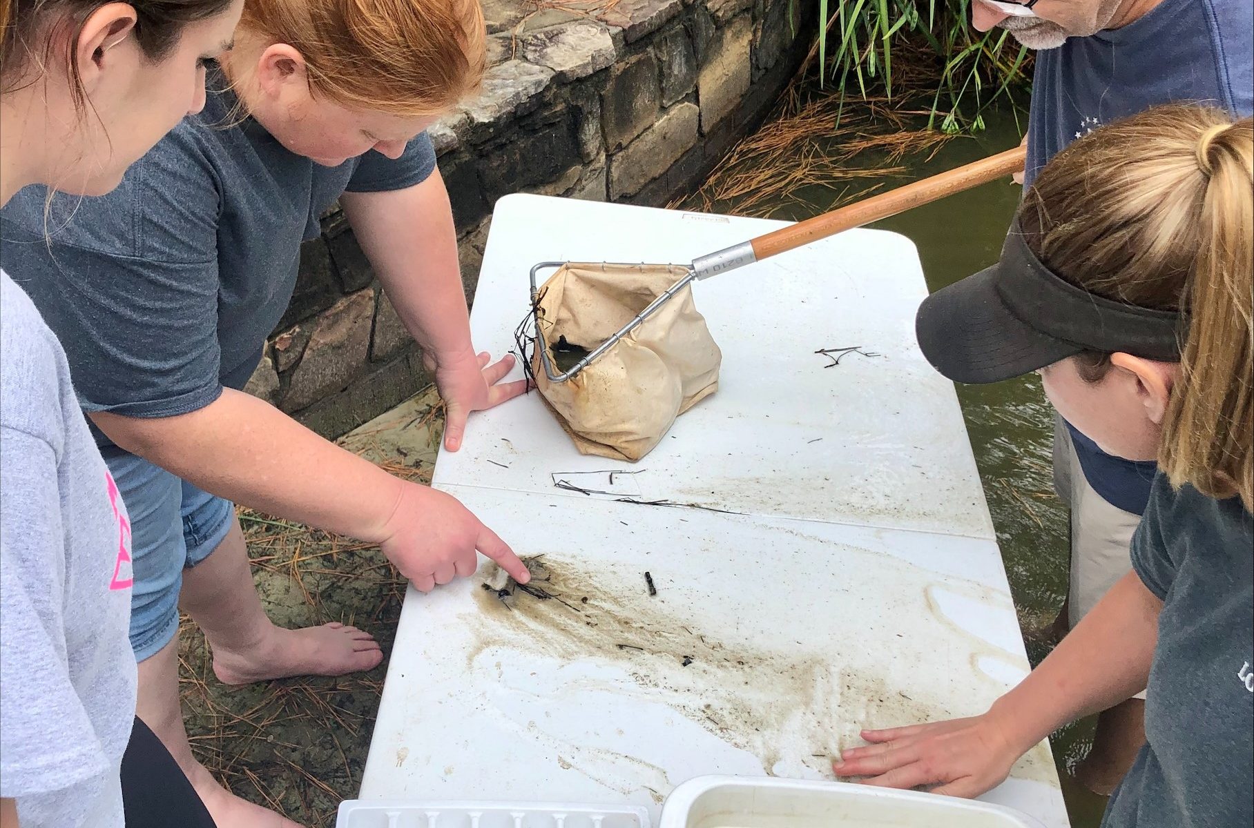 Students taking part in an outdoor science activity